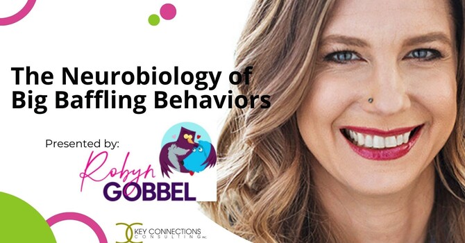 The Neurobiology of Big Baffling Behaviours