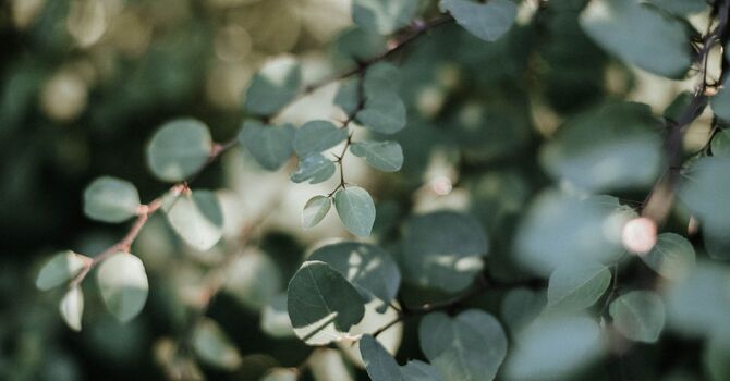 Creating Predictability Workshop