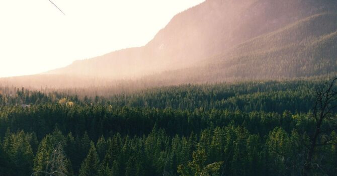  I.C.E. Youth Programs Spring Session 